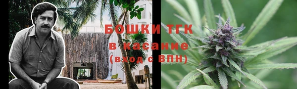 сатива Протвино