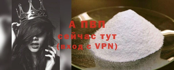 стаф Алексин