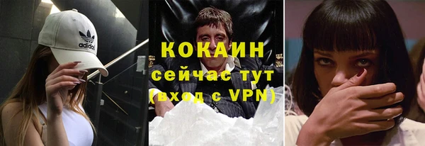 стаф Алексин