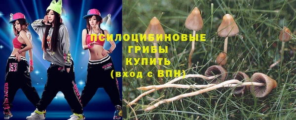 стаф Алексин