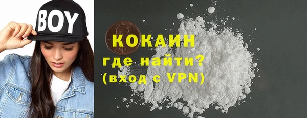 стаф Алексин