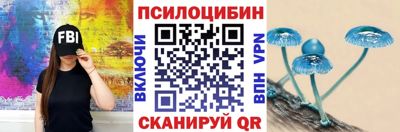 Галлюциногенные грибы Psilocybe  Новая Ладога 